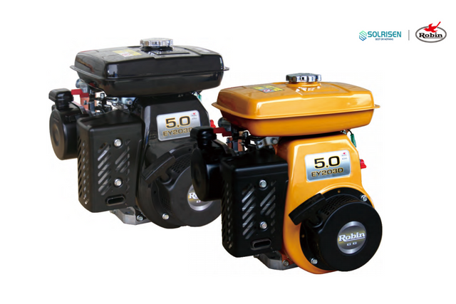 Robin Engine EY20D